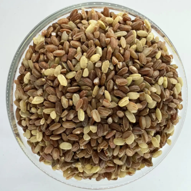 Marsi Rice