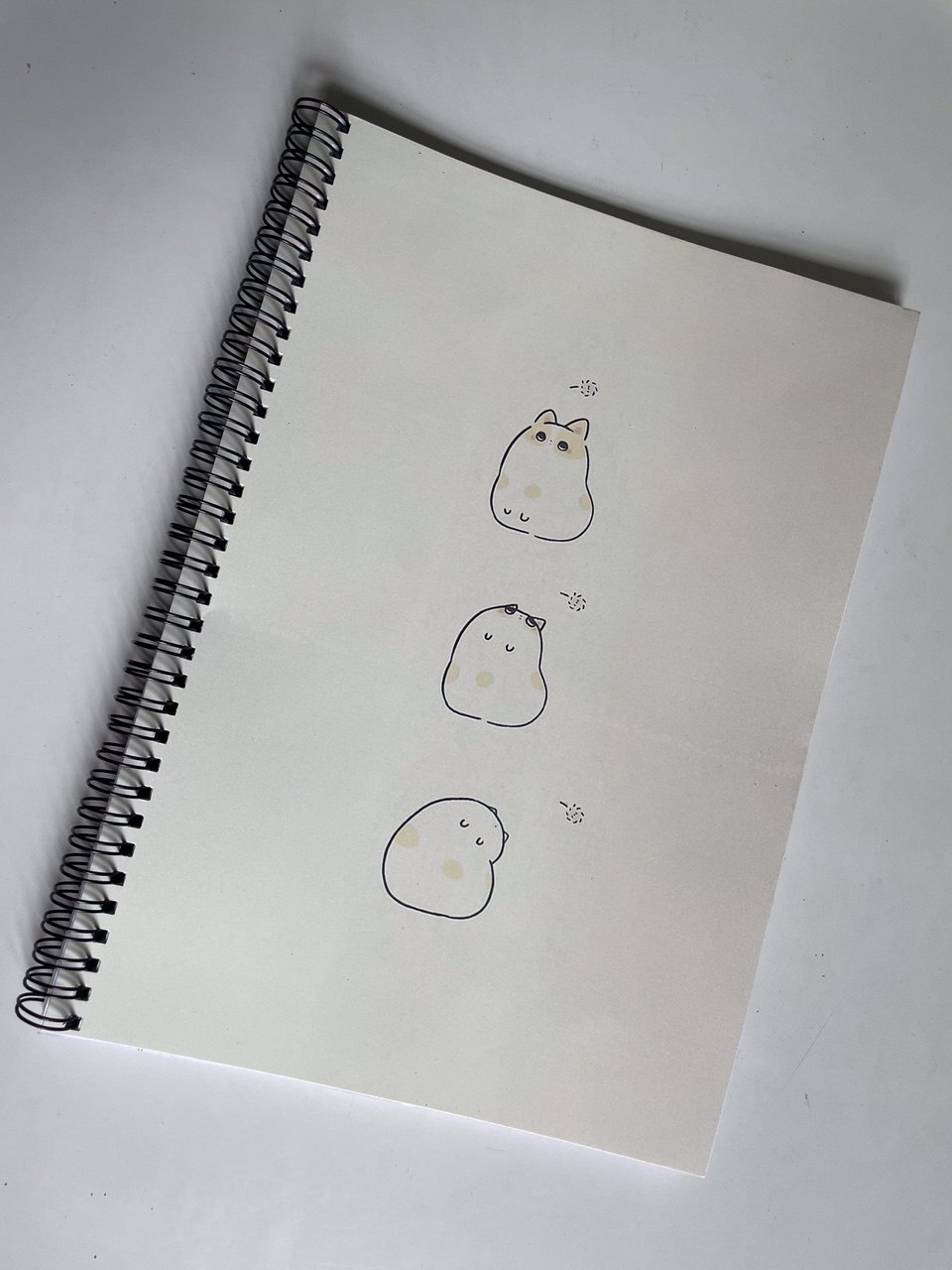 Spiral Notebooks