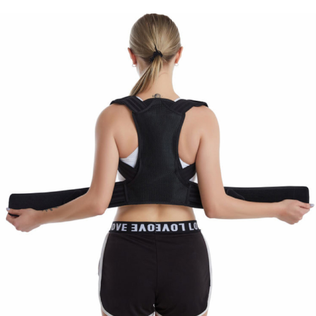 Back Support Belt