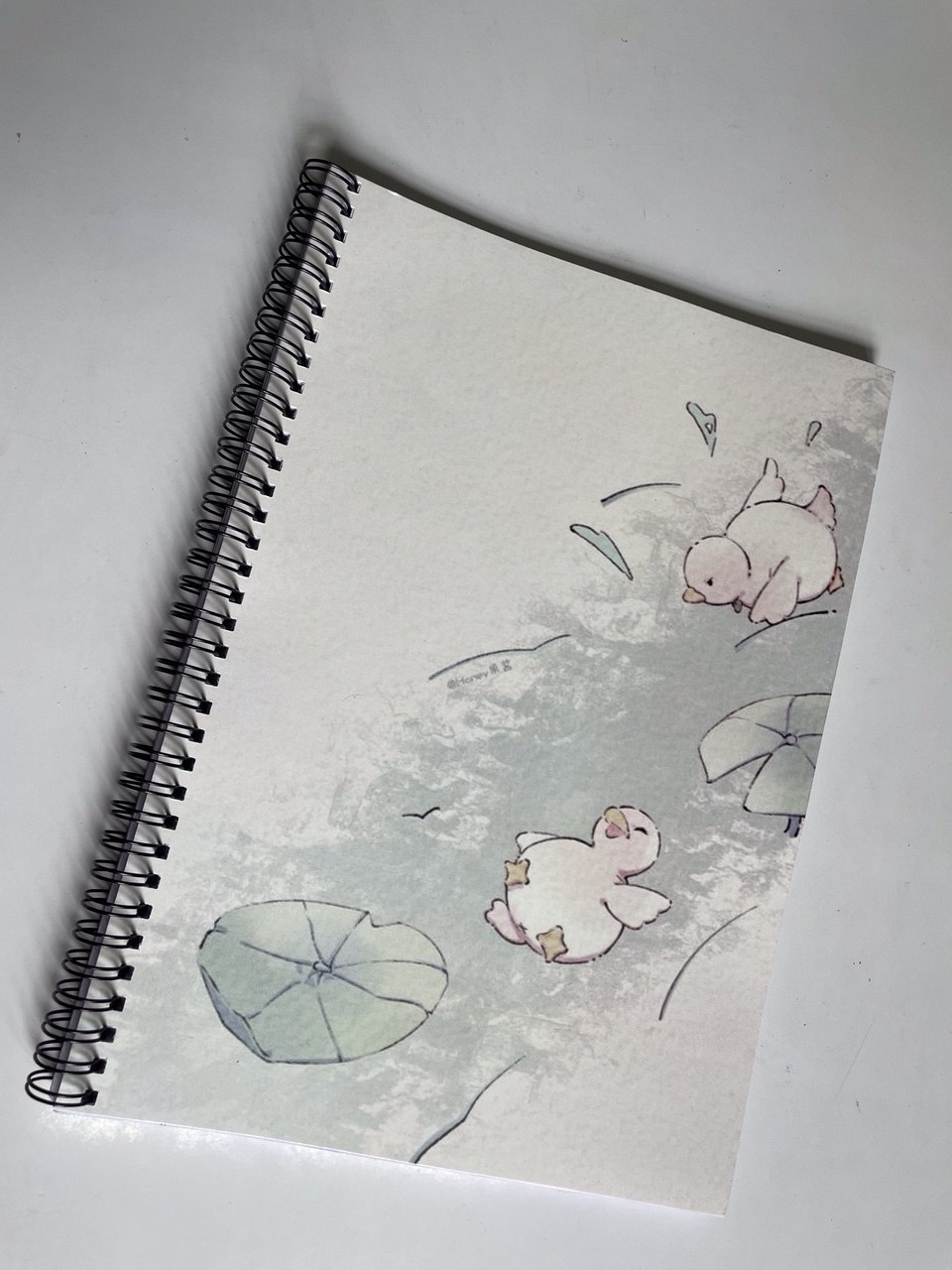 Spiral Notebooks